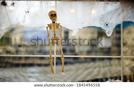 Plastic skeleton. A plastic skeleton toy hanging for Halloween party decoration