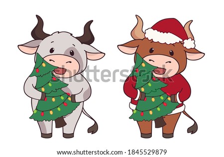Set of two cartoon cow wearing Christmas costume and holding tree. Hand drawn vector illustration for greeting cards. 