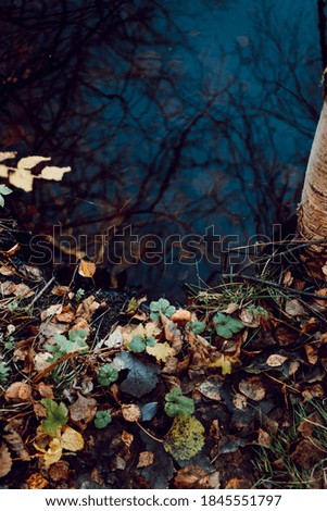 Moody nature photography with dark water and ground with fallen leaf. Autumn season, top view.