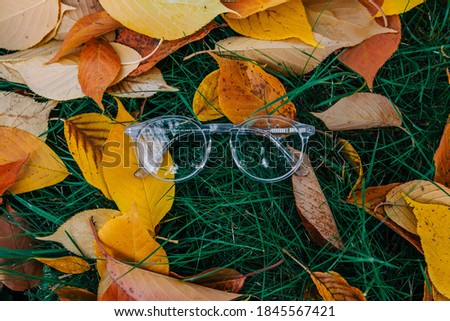 vintage transparent glasses with maple leaves on a green grass in autumn forest