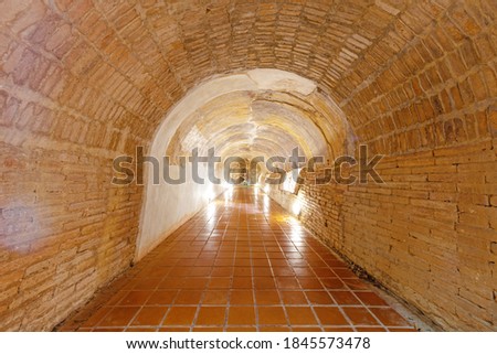 The brown brick tunnel has a walkway and a light in the middle.
