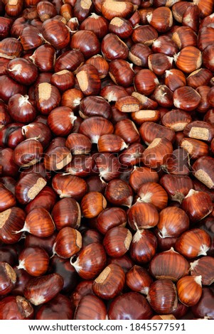Sweet chestnut background for creative backdrop (Vertical photo, Focus stacking)