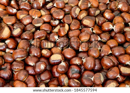 Sweet chestnut background for creative backdrop (Focus stacking)