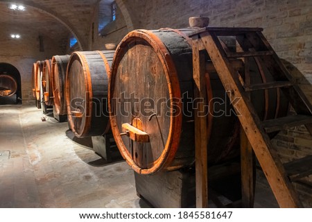 Ancient wine barrels in a cellar.