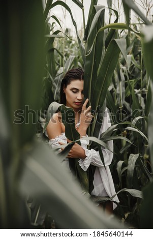 
A beautiful young brunette in a white dress walks in a cornfield. Wet hair. Cornfield.