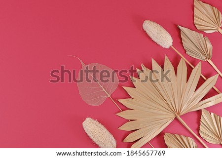 Flat lay with dried exotic plants like palm leaf, luffa and skeleton leaf in corner of pink background with empty copy space