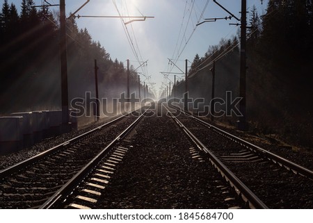Two railway lines in the middle of the forest. Railroad tracks in sunny and foggy weather.