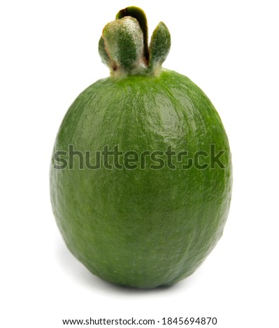 Fresh green feijoa on a white background, isolated. Tropical fruit feijoa whole Royalty-Free Stock Photo #1845694870