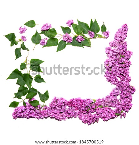 A bright floral frame made of lilac flowers is suitable not only for photos and invitations to a holiday, but also wedding florists will appreciate it.