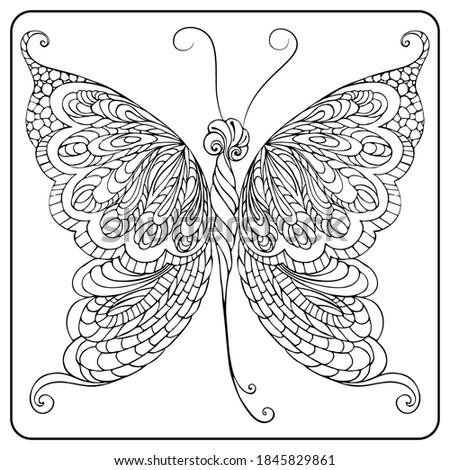 Butterfly outline. Coloring book for children and adults. Black ornament on a white background.