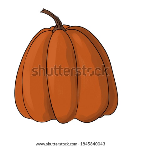 bitmap image of orange bright pumpkin on white background