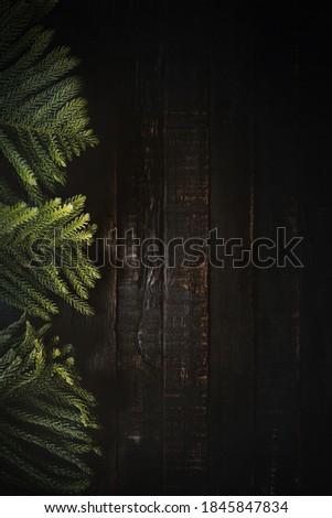 Christmas tree branches on dark wooden background  with copy space. Flat lay.