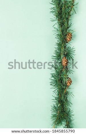 Spruce branch on green background. Christmas border. Flat lay