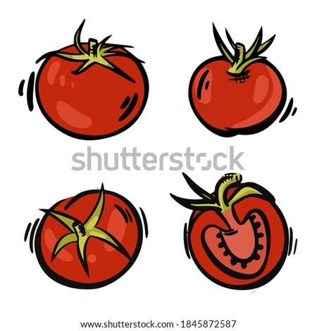 Set of hand-drawn vector tomatoes. Fresh red tomatoes in vintage colorful style.Isolated on white background. Can use in food packing design, interior or decoration of cafe, menu.