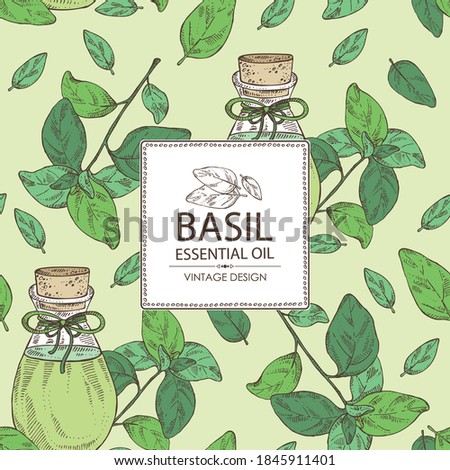 Background with basil leaf  and bottle of basil essential oil. Cosmetic, perfumery and medical plant. Vector hand drawn illustration.