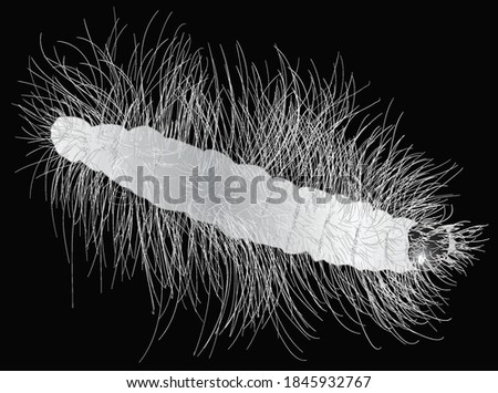 illustration with caterpillar isolated on black background