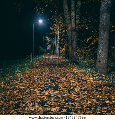 Autumn walkway in the dark, full with leafs. Picture taken in a European city by the name Valmiera. Walks in the dark through leaves. Latvia.