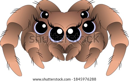 cute spider with big blue eyes and shaggy paws Royalty-Free Stock Photo #1845976288