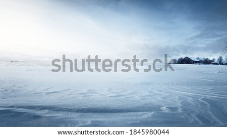 Panoramic view of the snow-covered field after a blizzard at sunset. Human tracks in a fresh snow. Old rustic wooden house in the background. Ice desert. Global warming theme. Lapland, Finland Royalty-Free Stock Photo #1845980044