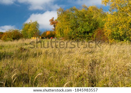 Colorful wooden beehives near forest. Beekeeping or apiculture. Colorful forest in autumn.