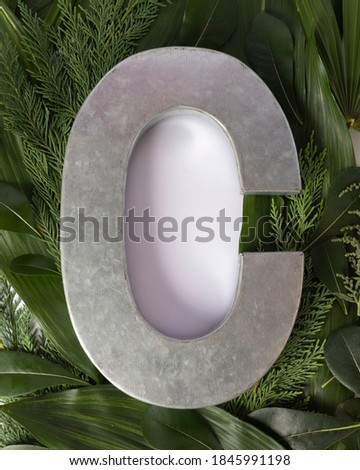 Top view creative vertical layout of metallic letter C on exotic leafs with white paper background