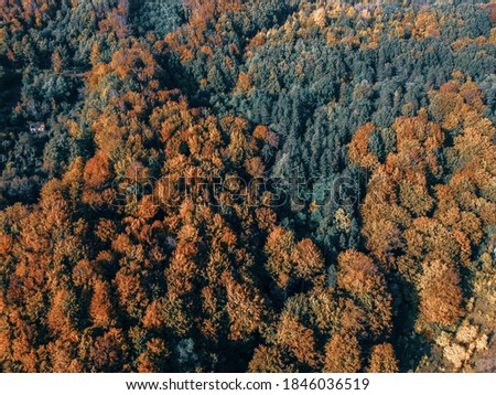 Idyllic autumn landscape shot from a drone