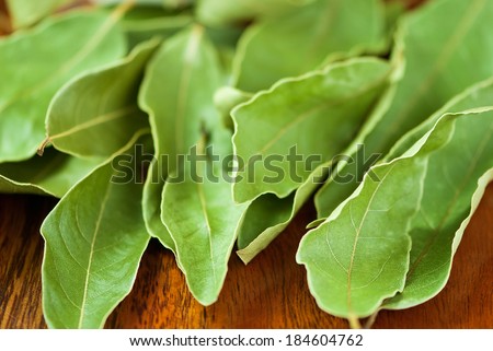 laurel leaves (Laurus nobilis) on wooden background