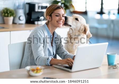 Shot of beautiful lovely dog kissing her smiling owner while she working with laptop in the kitchen at home. Royalty-Free Stock Photo #1846091251