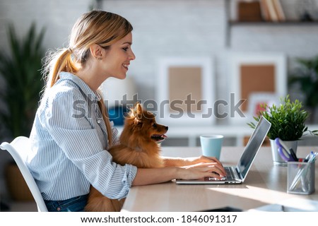 Shot of lovely little dog looking the laptop while her beautiful owner working with him in living room at home.  Royalty-Free Stock Photo #1846091317