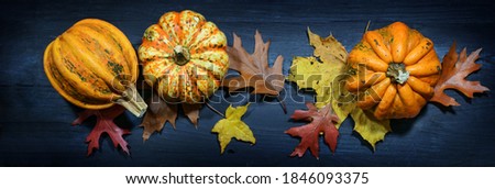Food pumpkins or squashes with colorful autumn leaves on a dark blue wooden background in panoramic banner format, high angle view from above, selected focus