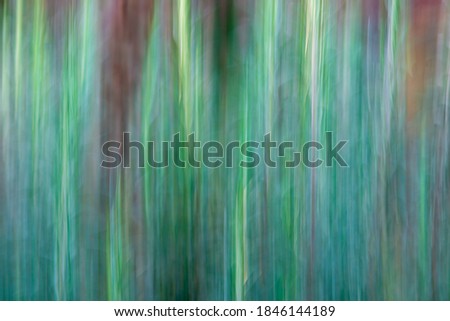 An abstract textured background in the color of the woods - green and brown and black. Vertical blurred lines on a landscape orientation.
