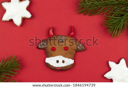 ginger cake in the shape of a bull's face on a red background. Christmas bull, symbol of the new year 2021. holiday treats handmade.