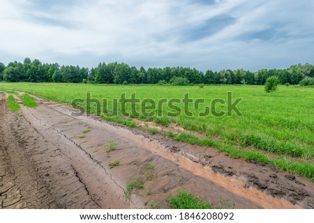 ummer landscape photography. European part of the earth. fields, meadows, ravines. The floodplain of a large river is covered with green vegetation. Dirt road of local importance. Beautiful blue sky