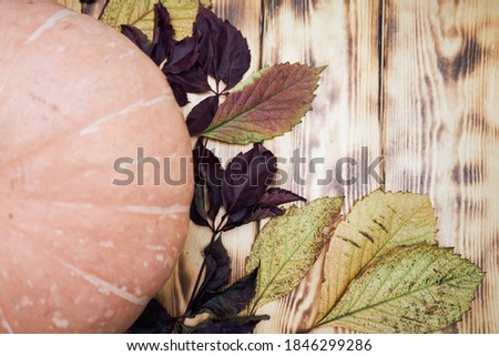 Autumn tree petals on wooden background top view