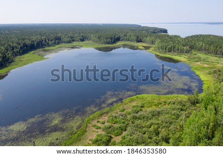 Aerial photo of forest boggy lake in the Karakansky pine forest near the shore of the Ob reservoir. Siberia, Russia
