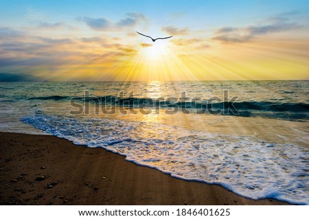 A Bird Silhouette is Flying Towards the Light As Sun Rays Emanate From the Ocean Sunset Sky Royalty-Free Stock Photo #1846401625