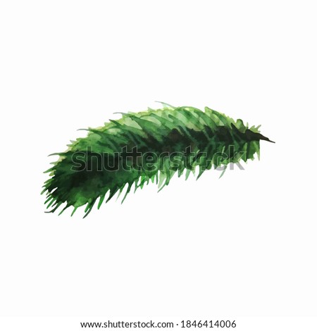 watercolor spruce branch on a white backgroundVector spruce branch can be used in packaging paper, textiles, tableware.napkins, ads.