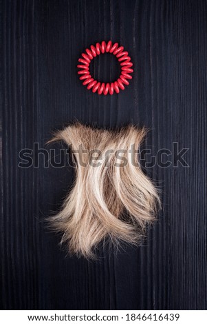 Blond hair lock, red scrunchie black wooden background close up, cut off blonde curl on dark wood, spiral scrunchie, hair band barrette, hair snip, haircut, hairstyle, hairdo, coiffure, barber concept