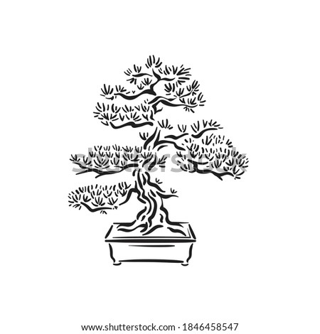 Japanese old bonsai tree in pot logo