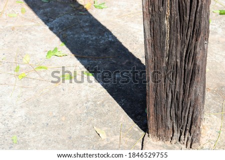 Post Shadow Wood Timber Nature Surface