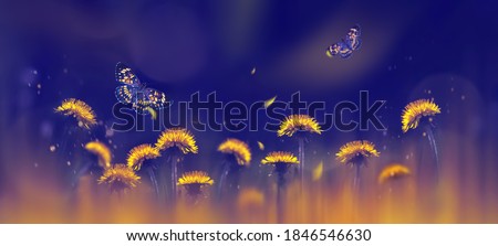 Yellow bright dandelions and beautiful butterflies on a blue background. Spring summer creative background. Artistic image in backlight. Selective focus.