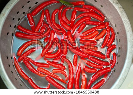 Wash fresh chilli in kitchen for cook , soft picture