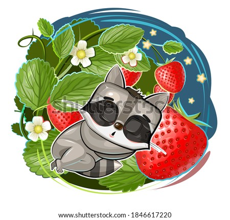 A raccoon sleeps under a strawberry bush. Night stars, flowers and berries. Cartoon style. Young cub. Vector. A cute baby.