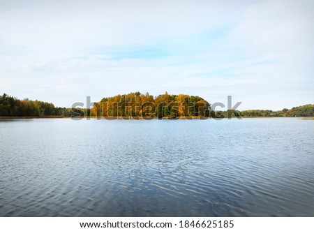 Panoramic view of the forest and a blue river. Clear sky, pure warm sunlight. Colorful green and golden trees close-up. Autumn in Latvia, Europe. Idyllic rural scene. Nature, ecology, environment