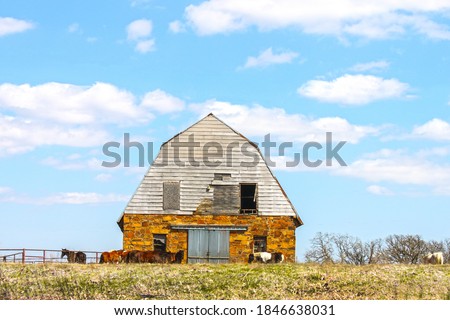 Grungy old stone barn surrounded by livestock in field with pretty blue sky with fluffy clouds