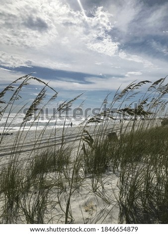This picture depicts the beach and the sky through the grass