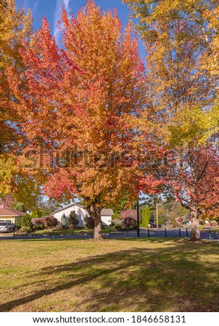 Fall colors in a public park Gresham Oregon state.