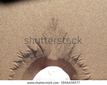 Delta pattern in the sand