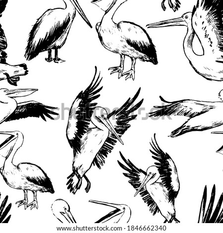 Hand drawn vector seamless pattern of beautiful pelicans. Exotic birds ink sketches background. Vintage tropical monochrome wallpaper. Abstract design for wrap, textile, postcard, print, fabric, decor