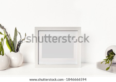 Square simple blank photo frame on tabletop surrounded by vases with green plants or flowers, isolated on white. Close up, copy space